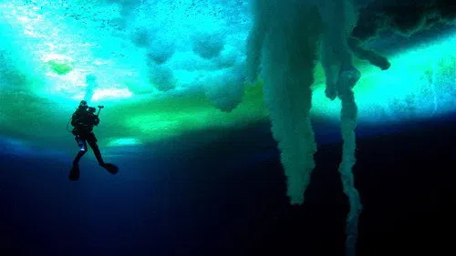 Encounters at the End of the World izle