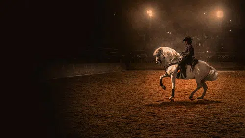 Centurion: The Dancing Stallion izle afişi