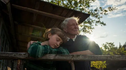 The Summer Book izle afişi