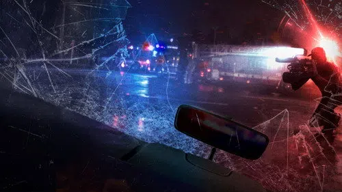 Shot in the Dark izle