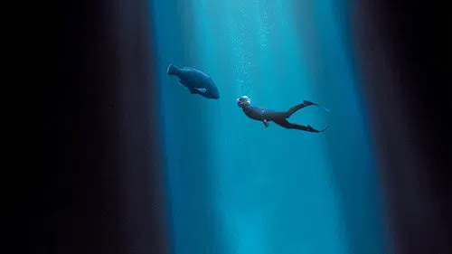 Blueback izle
