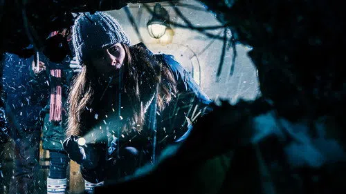 Harbinger Down izle