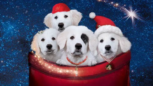 Santa Paws 2: The Santa Pups izle