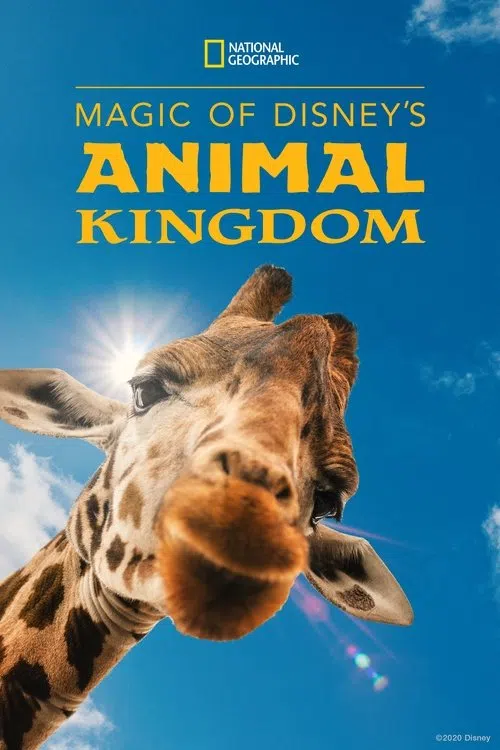 Disney's Animal Kingdom'ın Sihri