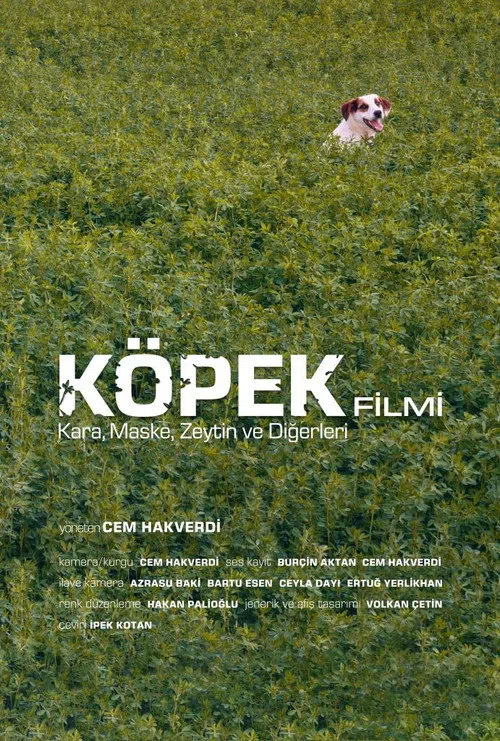 Köpek Filmi
