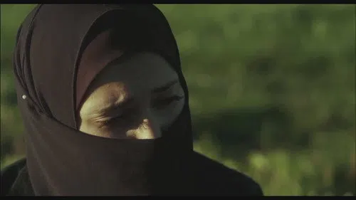 Sınır izle afişi