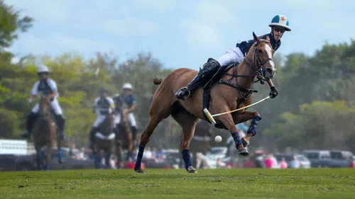 Polo izle afişi