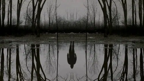 The Outsider izle