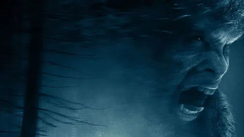 Dehşet Gecesi izle afişi