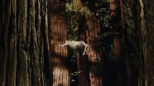 Woodshock izle afişi