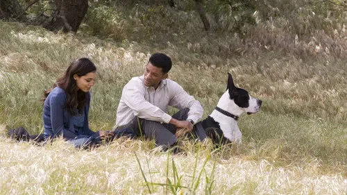 Yedi Yaşam izle