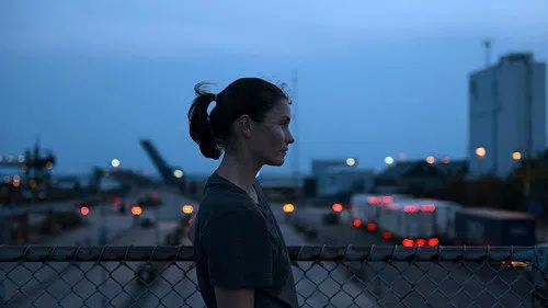 Zürafa izle afişi