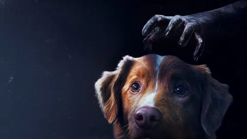 İyi Çocuk izle