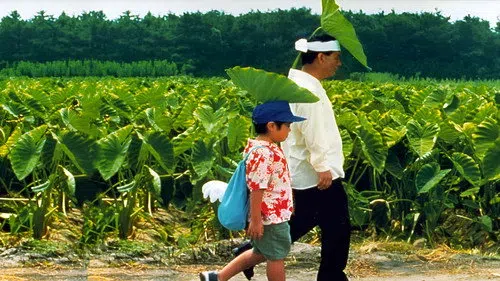 菊次郎の夏 izle
