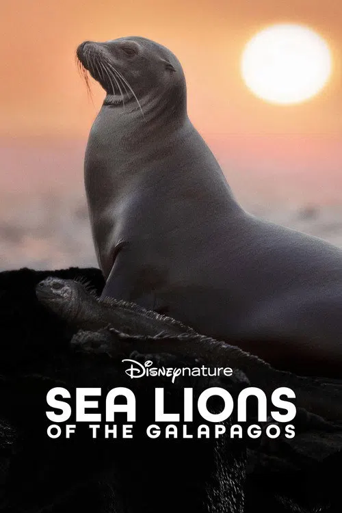 Galapagos'un Denizaslanları