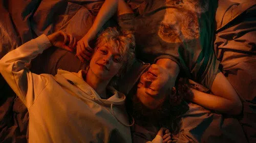Fanatik izle afişi