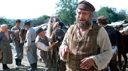 Damdaki Kemancı izle afişi
