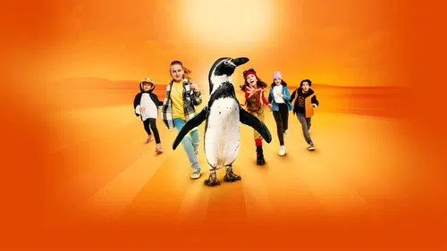Kaos Kardeşler ve Penguen Paul izle afişi