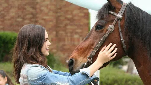 A Cowgirl's Story izle afişi