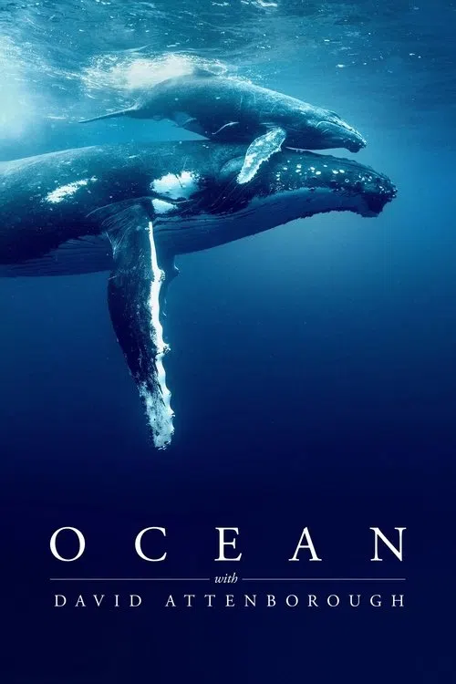 David Attenborough ile Okyanuslar