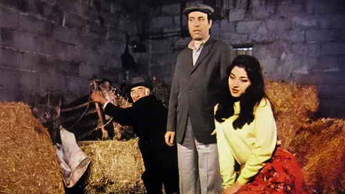 Tokatçı izle