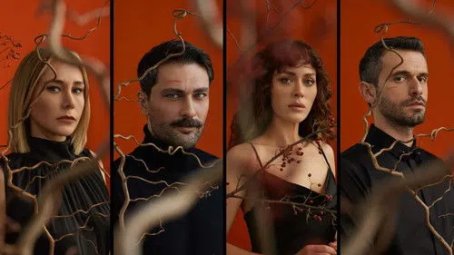 Sarmaşık Zamanı izle afişi