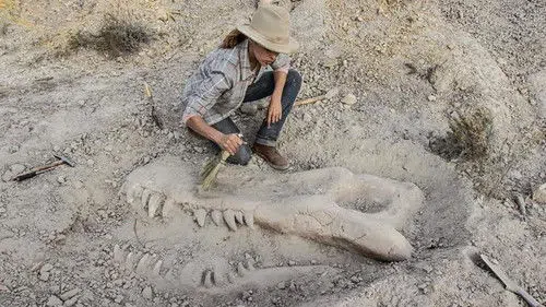 Valley of Bones izle afişi