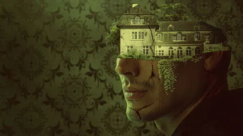 Kafamdaki Sesler izle afişi