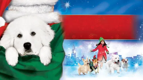 Yeni Yıl Köpekleri'nin Peşinde izle