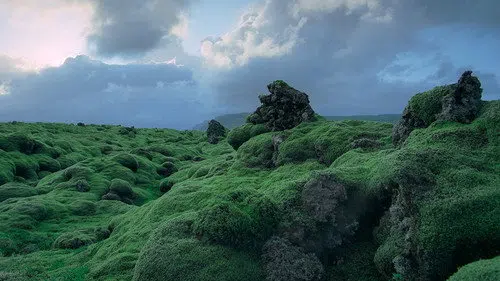 Zamanın Yolculuğu: Bir IMAX Belgeseli izle