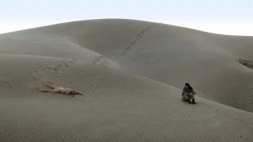 A Thought of Ecstasy izle