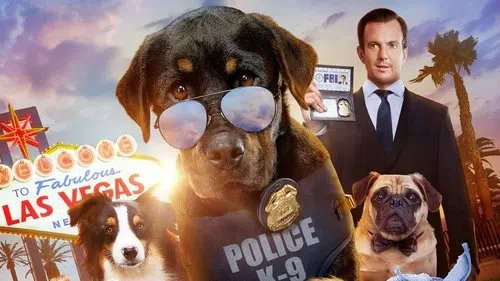 Gösteri Köpekleri izle afişi