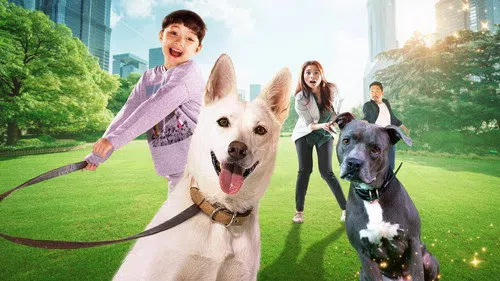 June ve Kopi izle afişi