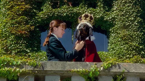 The Duke izle afişi