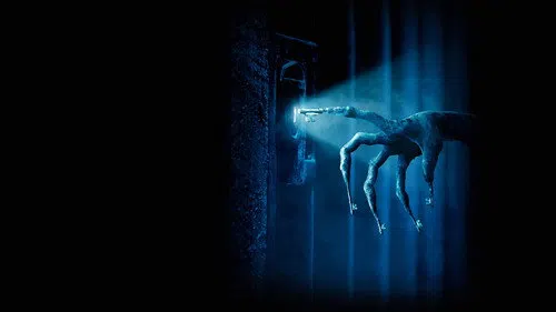 Ruhlar Bölgesi: Son Anahtar izle