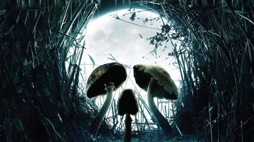 Sihirli Mantar izle