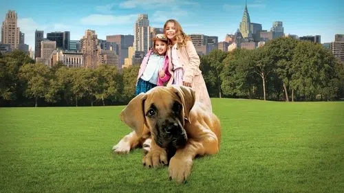 Kahraman Köpek izle