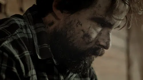 Weevil izle afişi