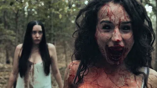 Wicked Witches izle afişi