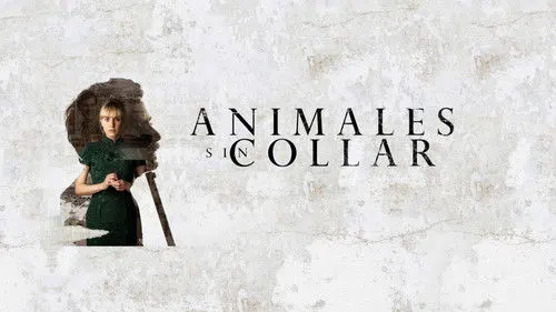 Animales sin collar izle afişi