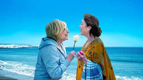 Salir del ropero izle afişi