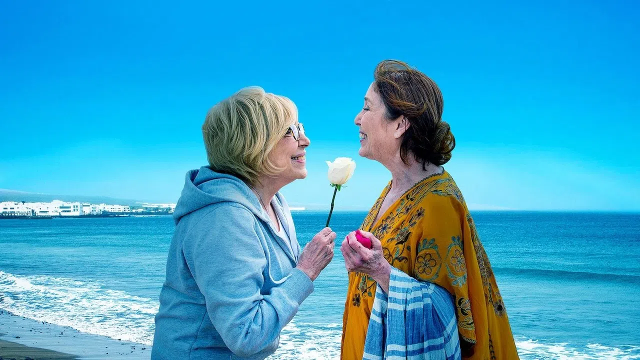Salir del ropero izle afişi