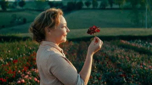 Gül Ustası izle afişi