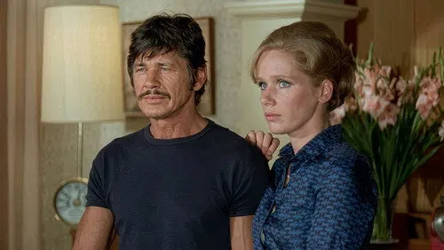 Gece Misafirleri izle afişi