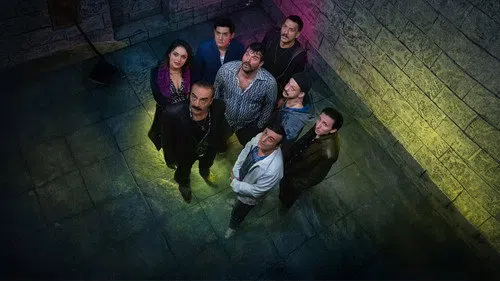 Organize İşler izle afişi