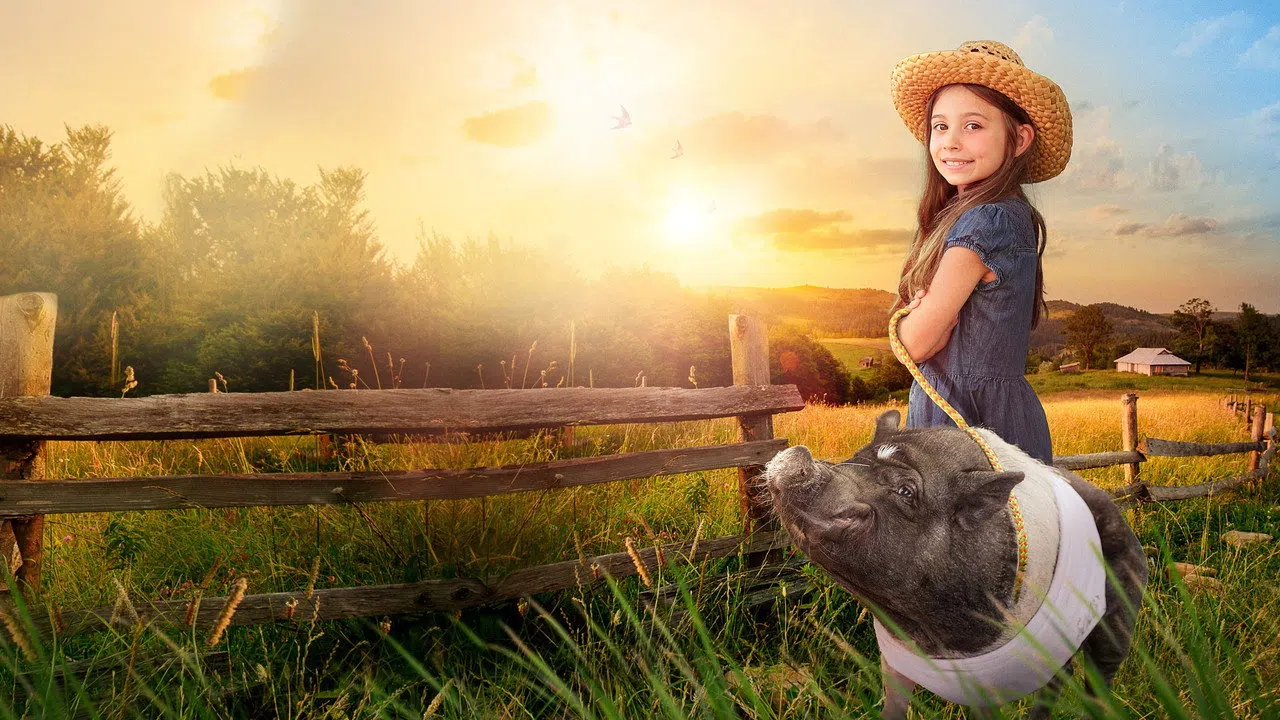 Elvis the Pig izle afişi