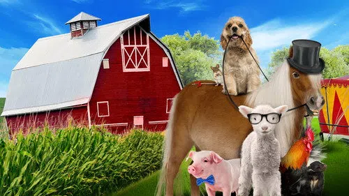 Köpek ve Midilli izle afişi