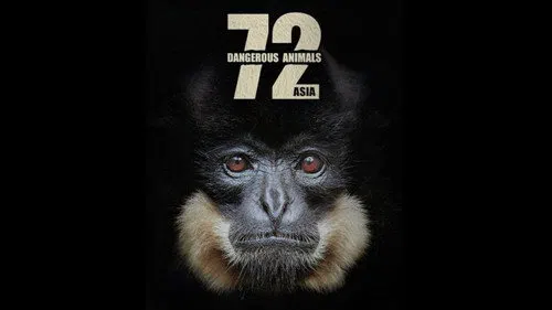 72 Tehlikeli Hayvanlar: Asya izle afişi