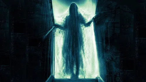 Muse izle