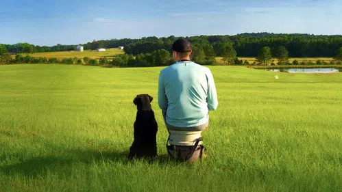 Man, Woman, Dog izle afişi
